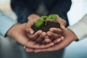 COP30: quando a economia encontra a ecologia- Barão Assessoria Contábil